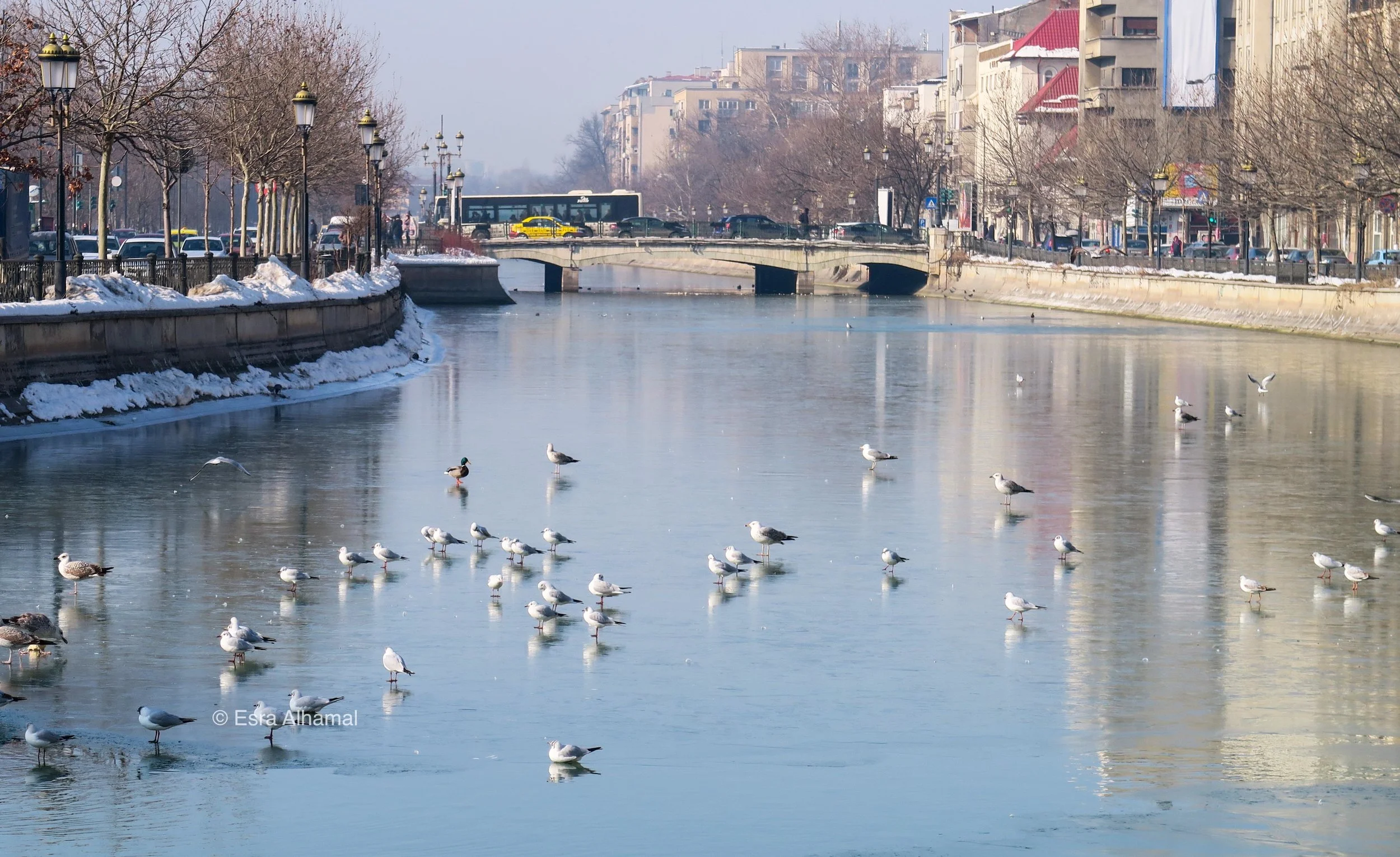 Photo of the river in Bucharest 