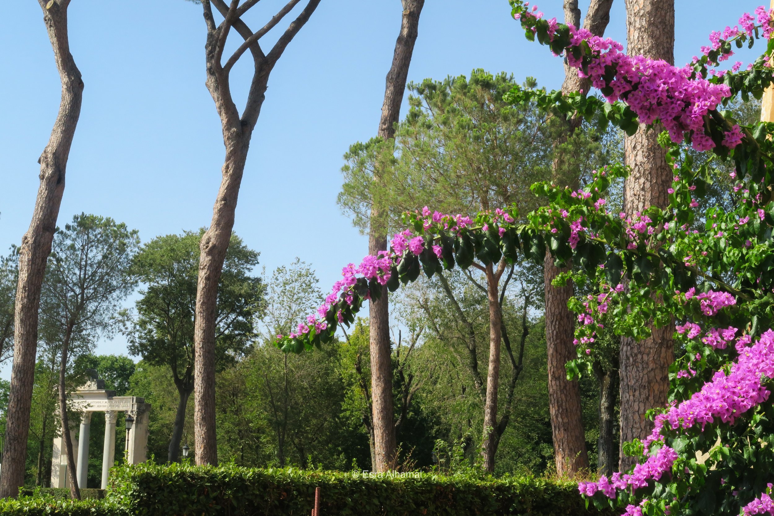 Borghese Park