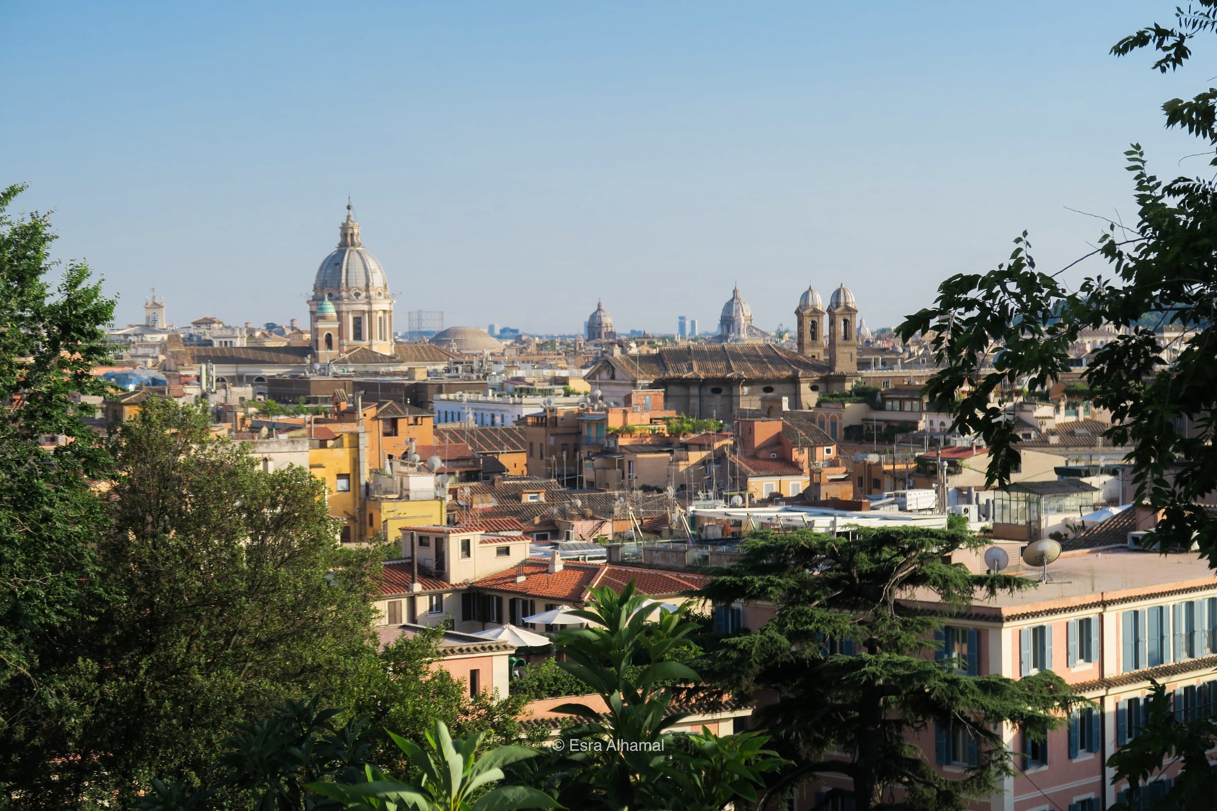 The view of Rome