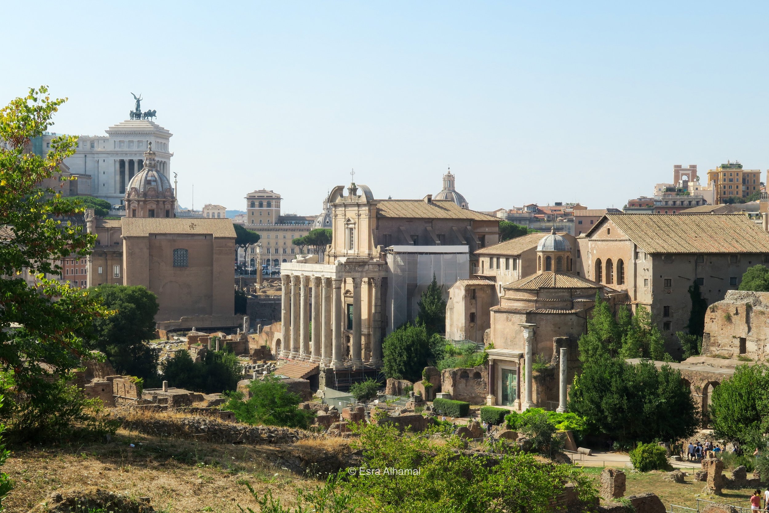 Roman Forum 