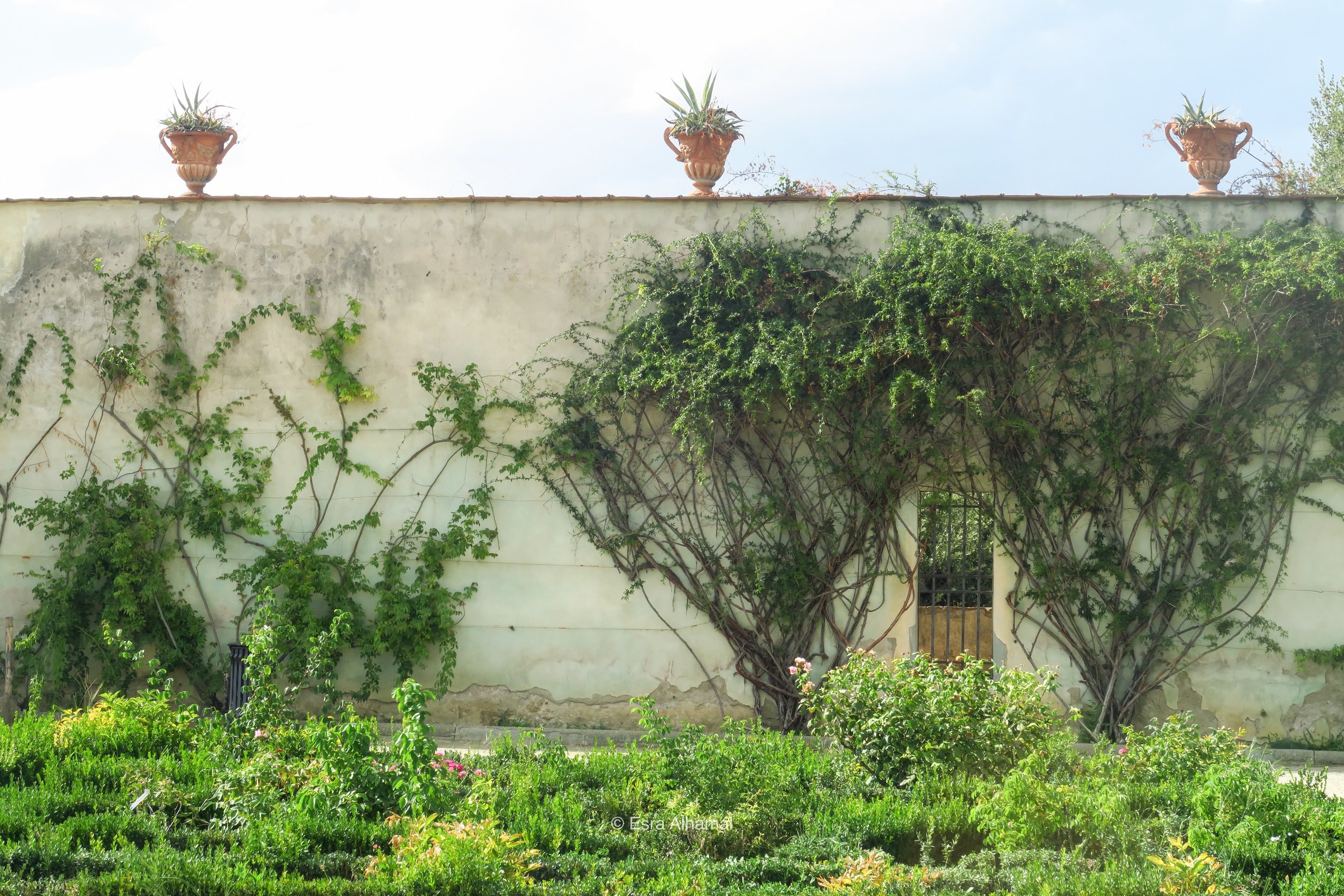 Boboli Gardens