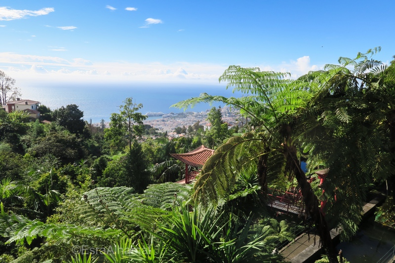 View of Funchal from Monte