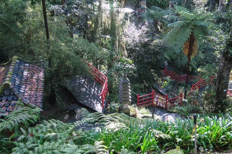 Oriental gardens in Madira