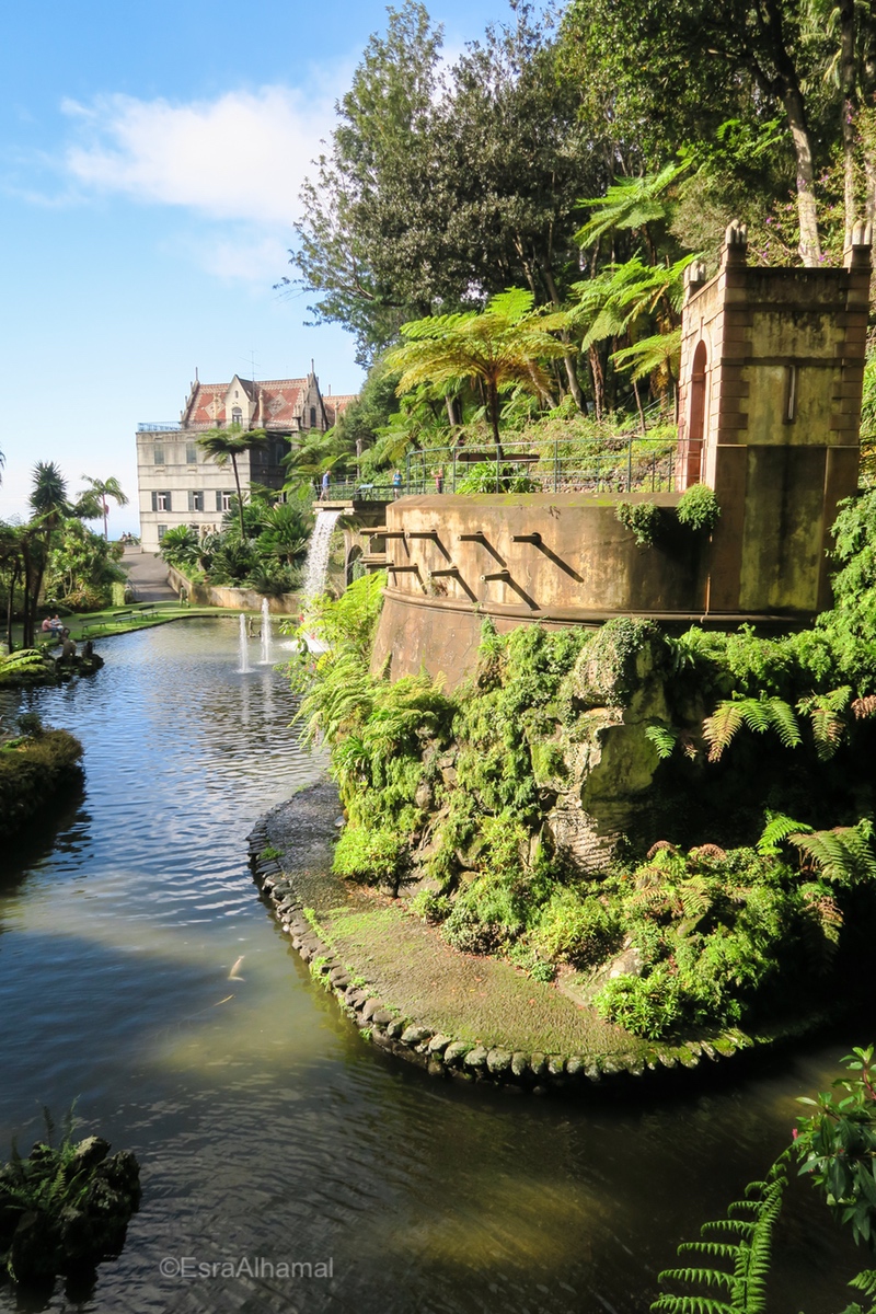 Lake inside the tropical garden of Madeira