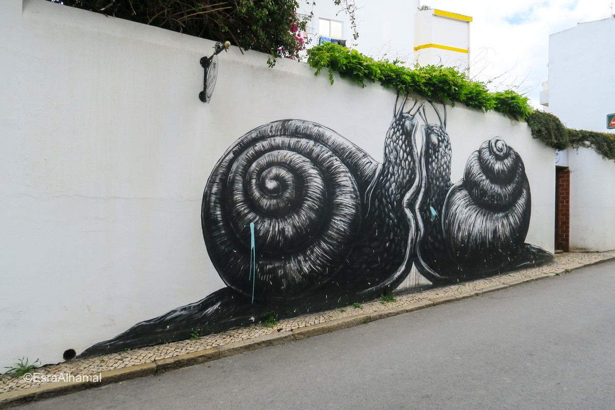 black and white snails - Graffiti in windows Lagos, Portugal