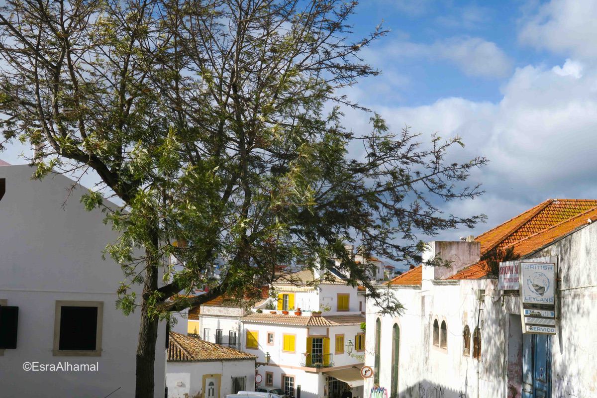 Architecture in Algarve, Portugal 