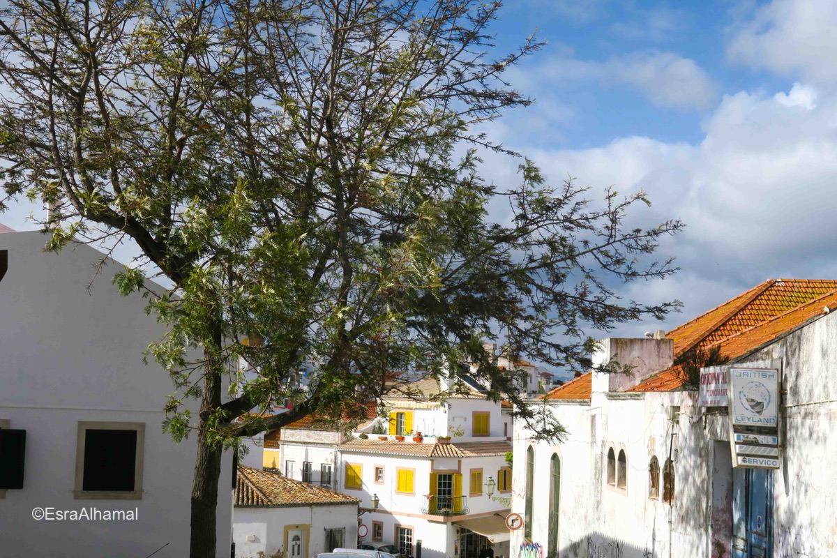 Architecture in Algarve, Portugal
