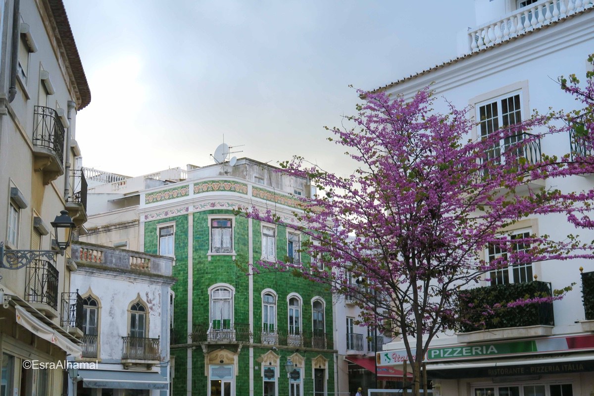 Tiled buildings in Lagos, Portugal 