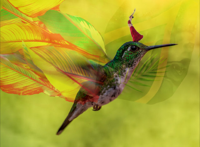 Like the Wing of A Bird · Digital Collage