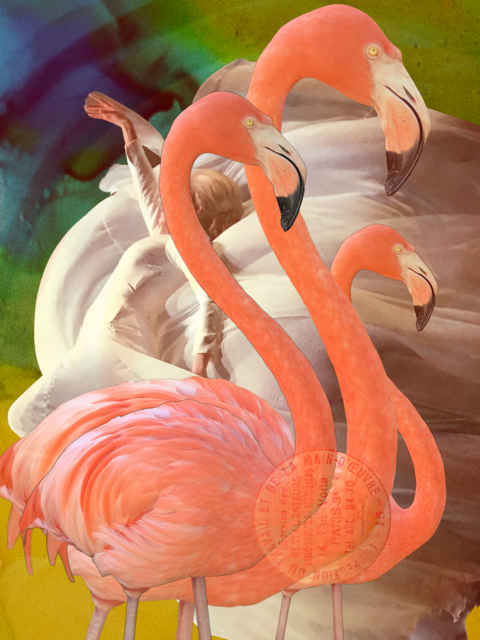 Feathers · Digital Collage