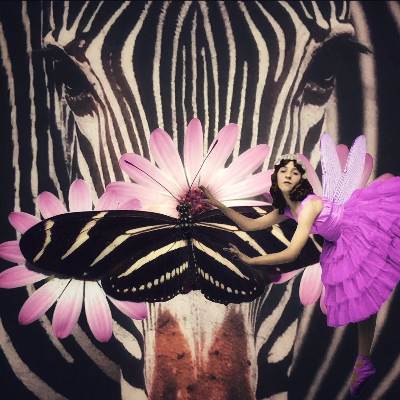 Zebra Print Stripes · Digital Collage