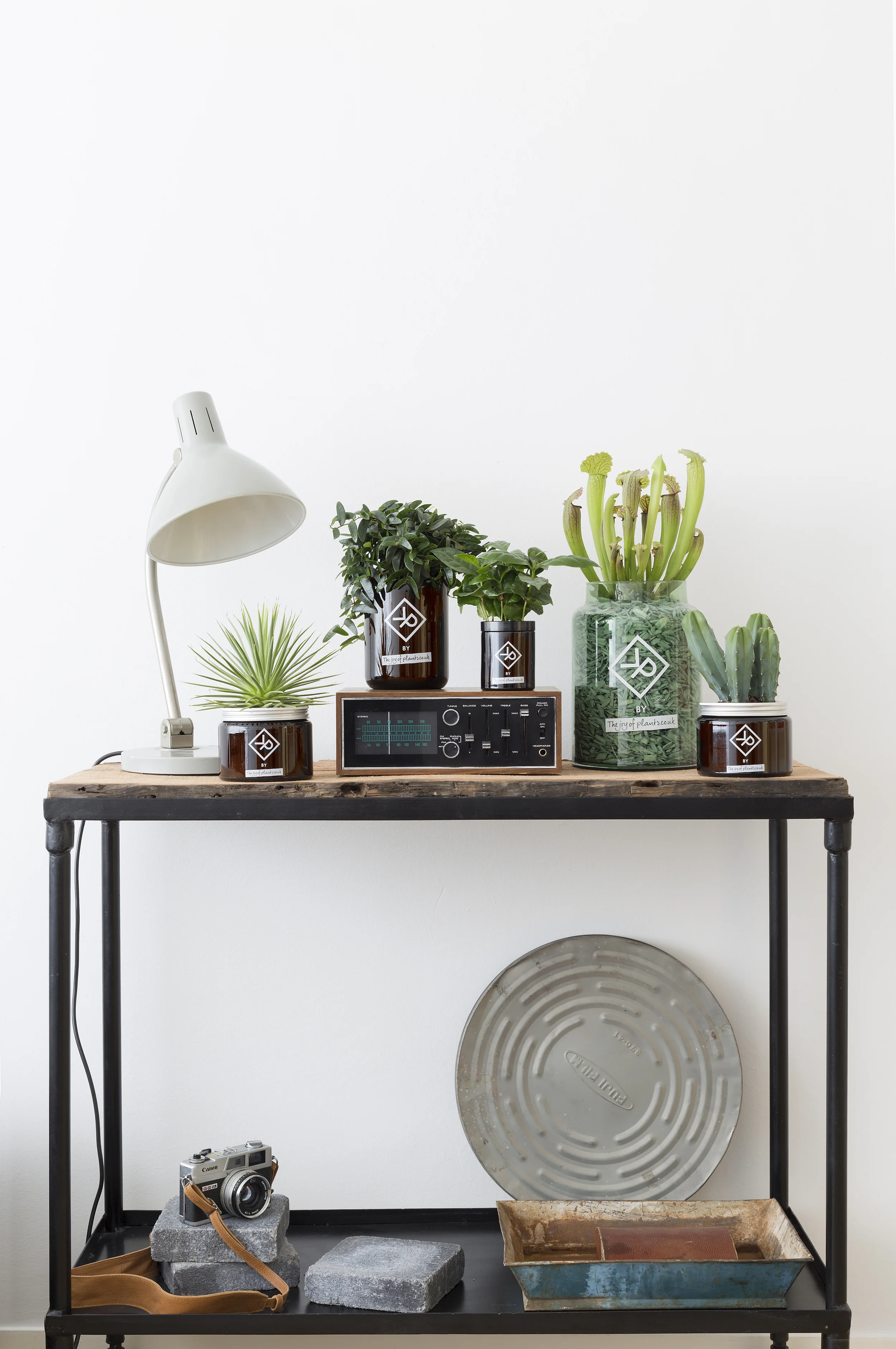 BRING YOUR HOME TO LIFE