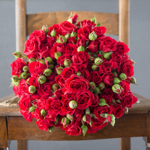 100 Red Roses