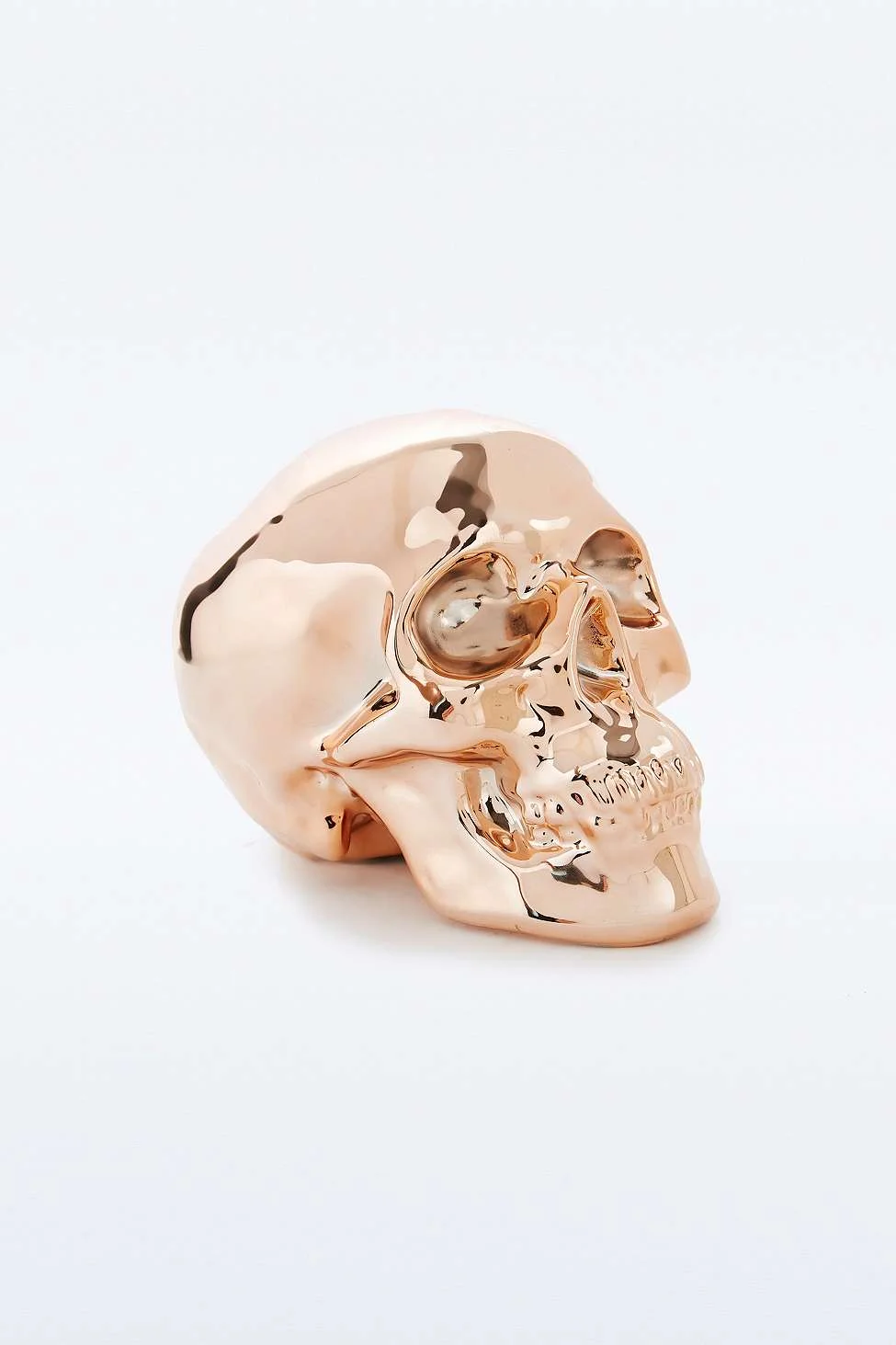 Copper Skull MoneyBox