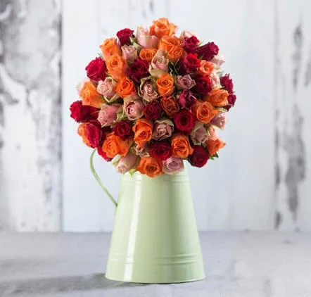 Roses