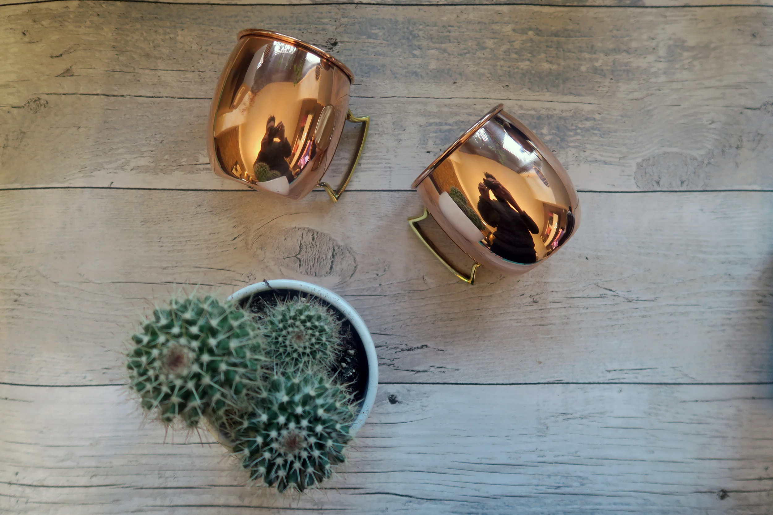 JANUARY: I WENT SHOPPING - CHECK OUT MY BEST BUYS