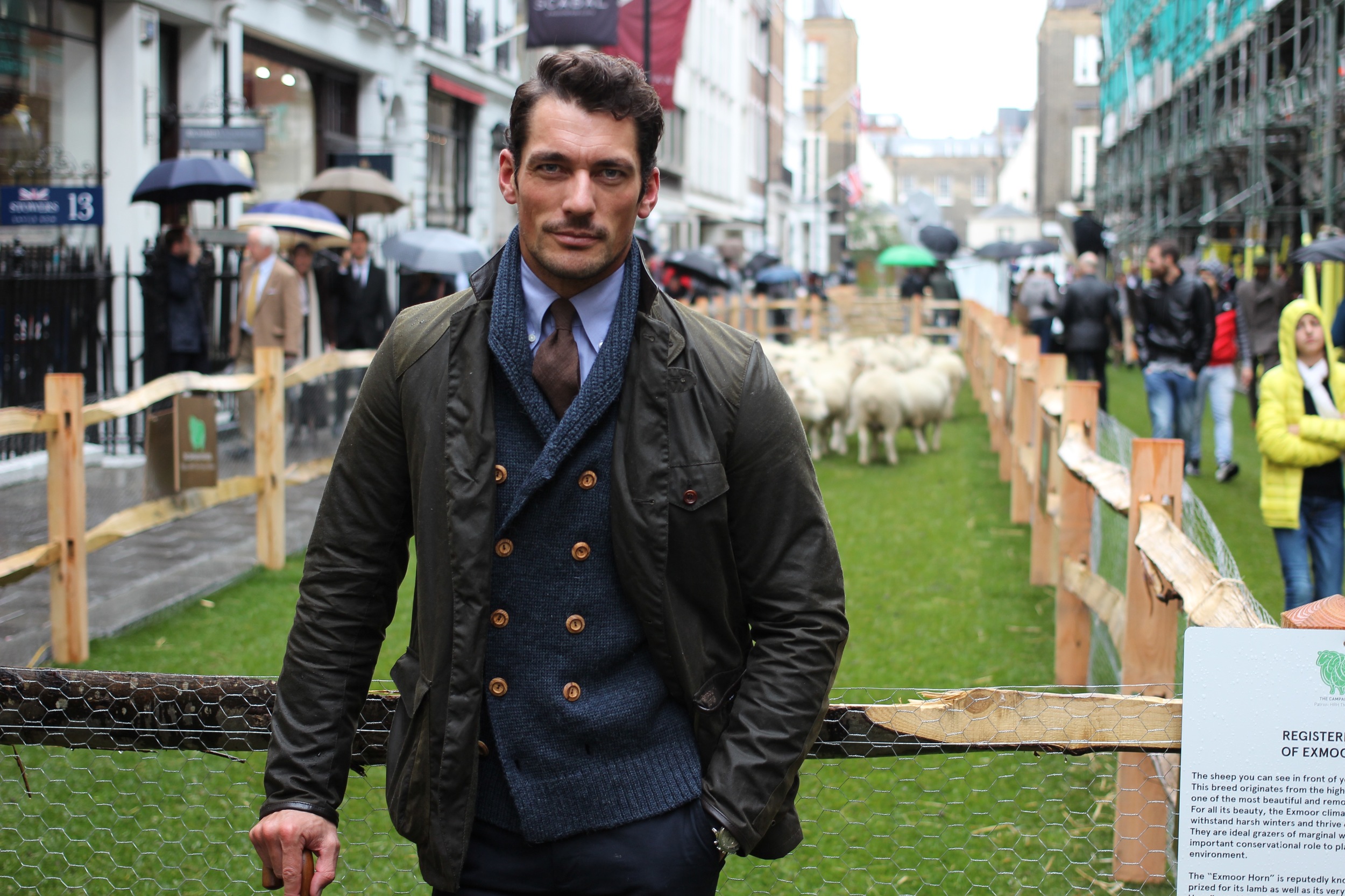 David Gandy Campaign for Wool.jpg