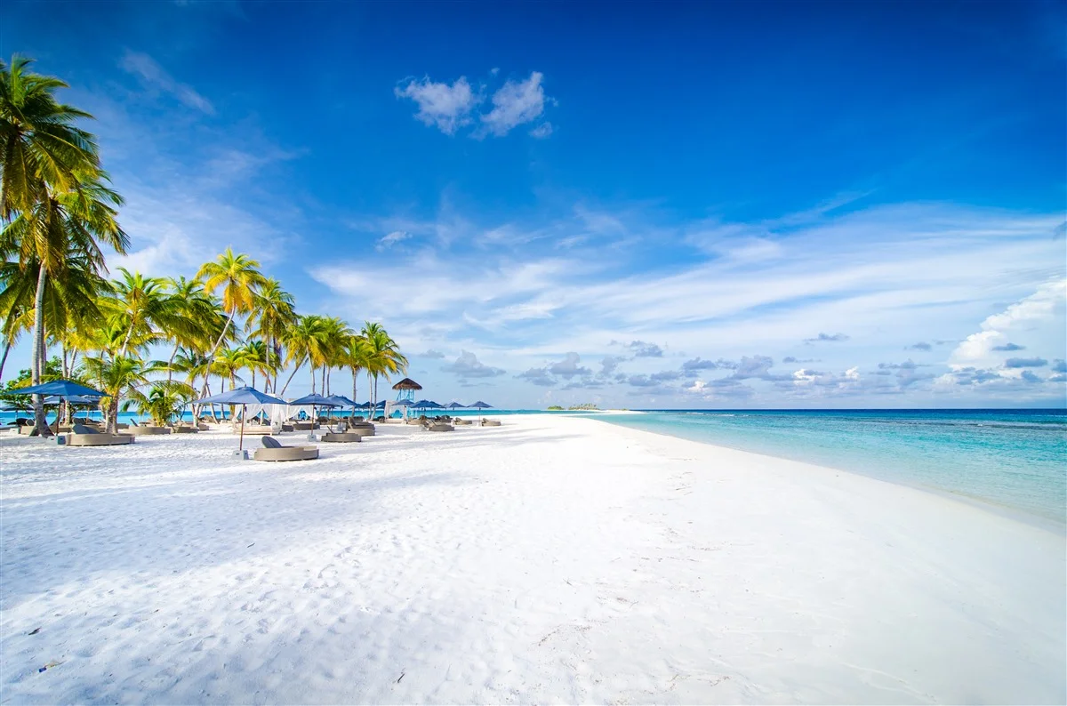 BeachClubBeach02.jpg
