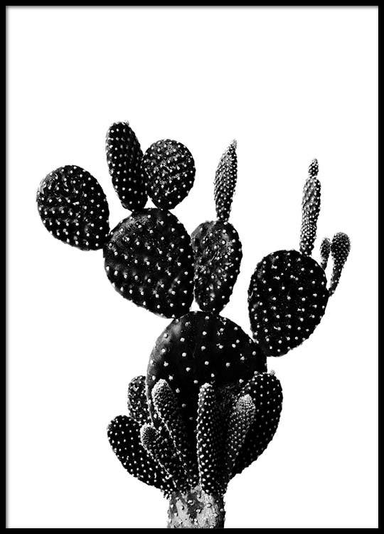 Desenio Black Cactus Poster