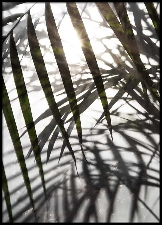 Desenio Sunlight Poster