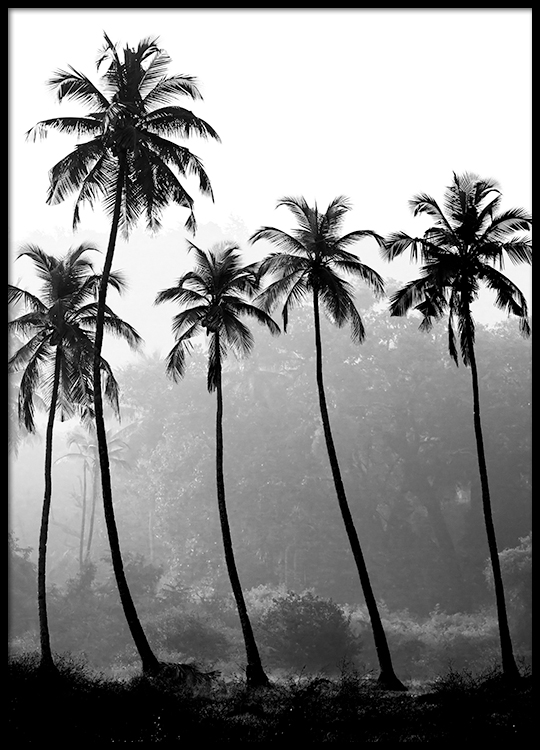 Desenio Palm Tree Print