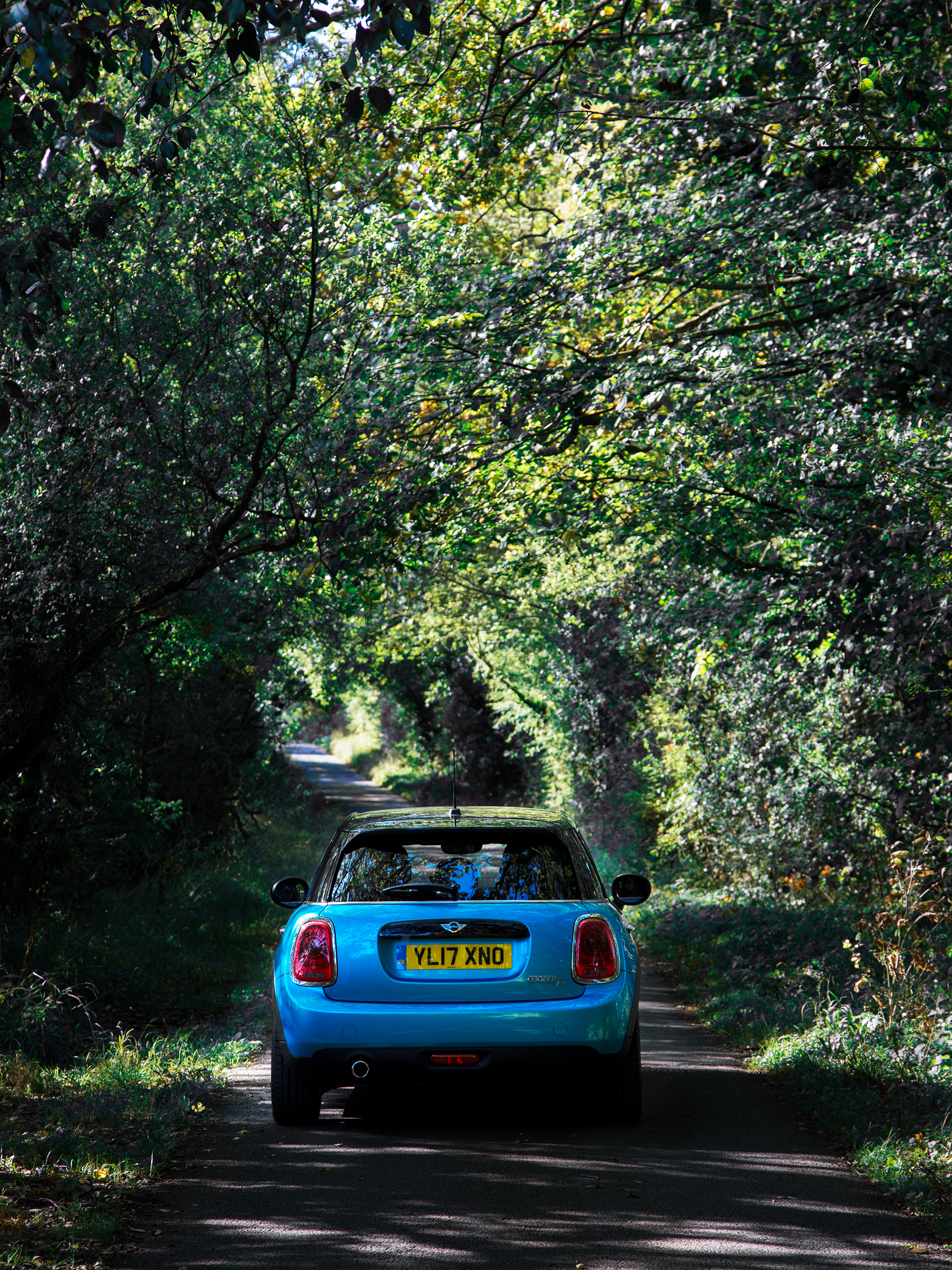 MINI Cooper D in the Country