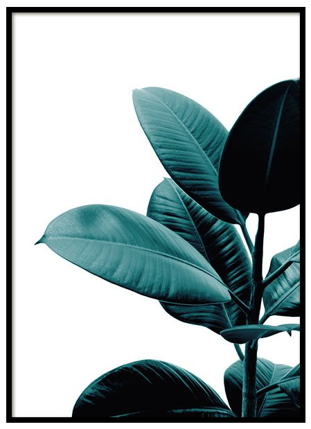 Desenio Green Plant Poster £Various