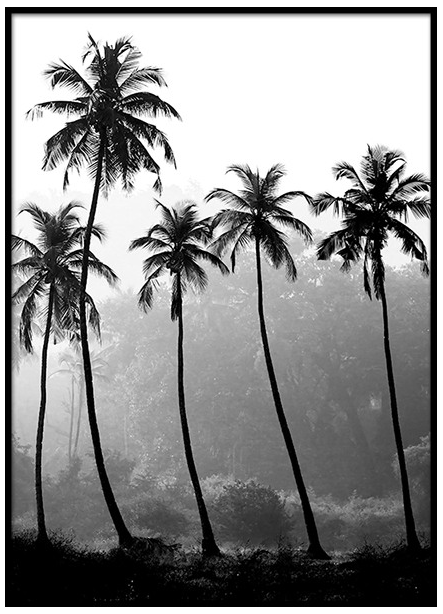 Desenio Palm Trees Poster £Various