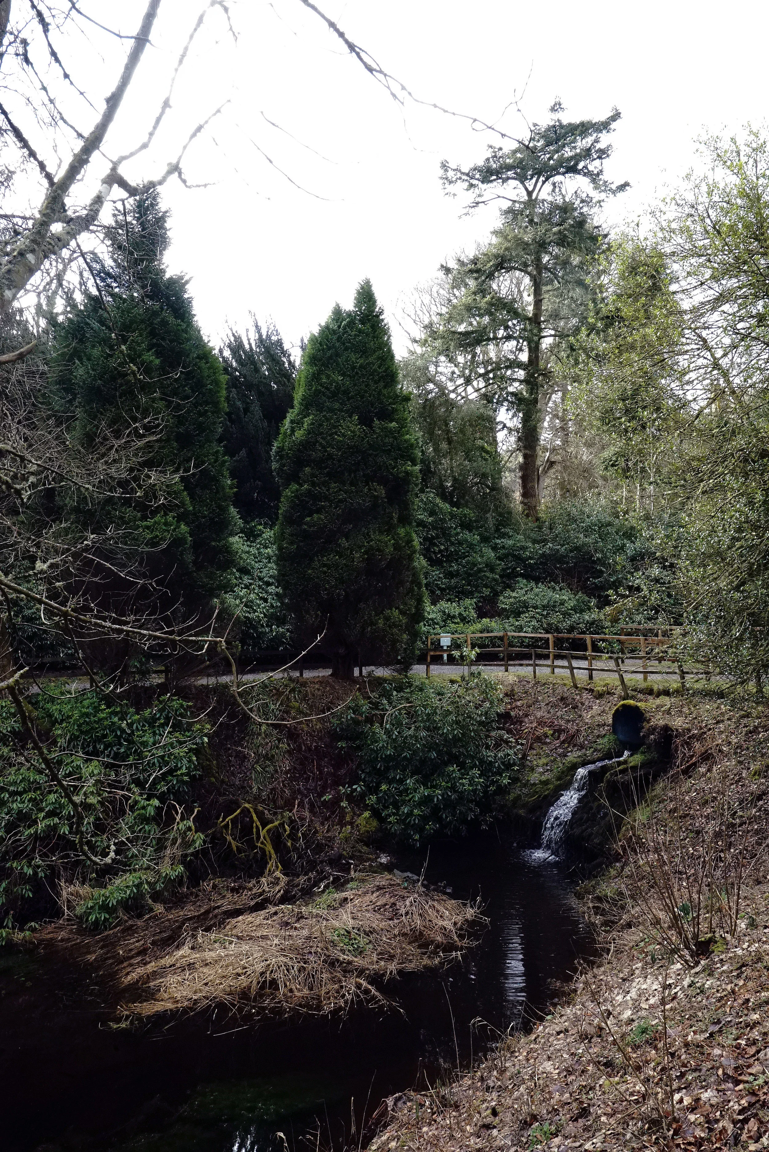 Mercure Peebles Streem.jpg