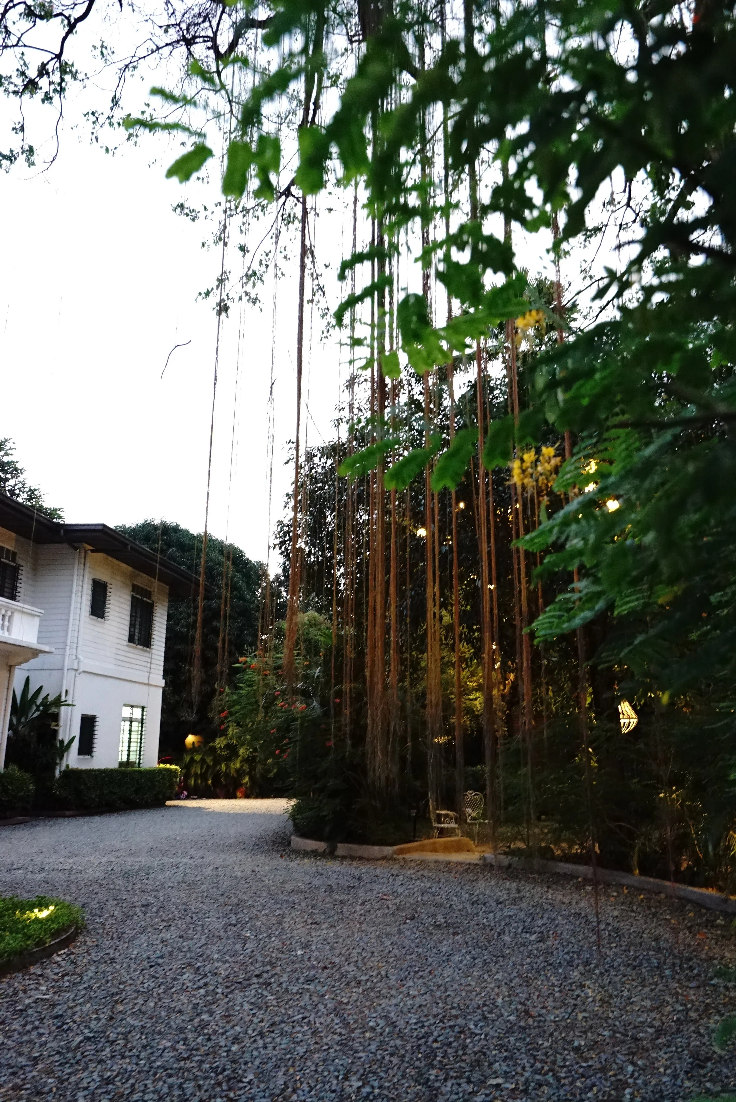DSC08164.JPG