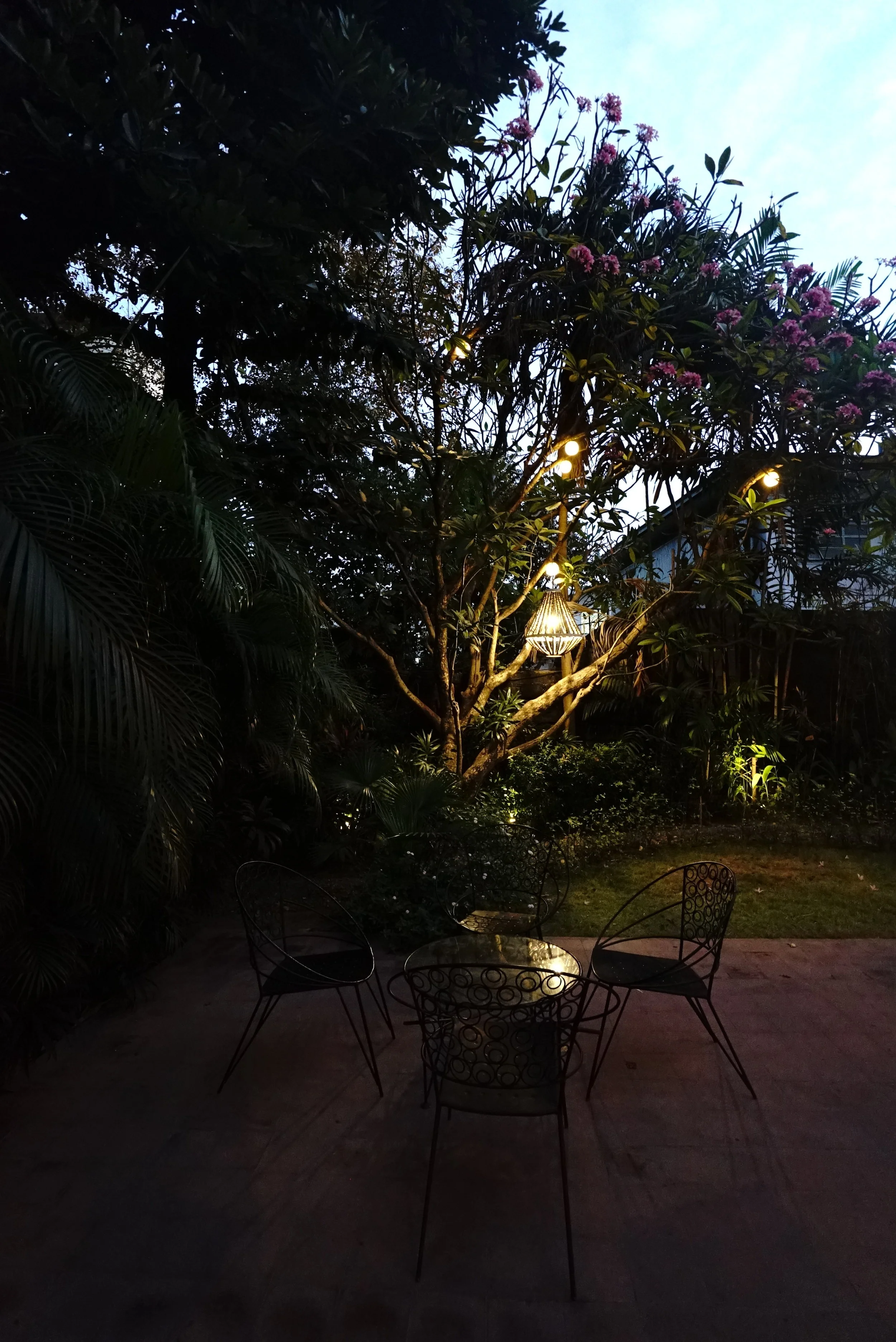DSC08155.JPG