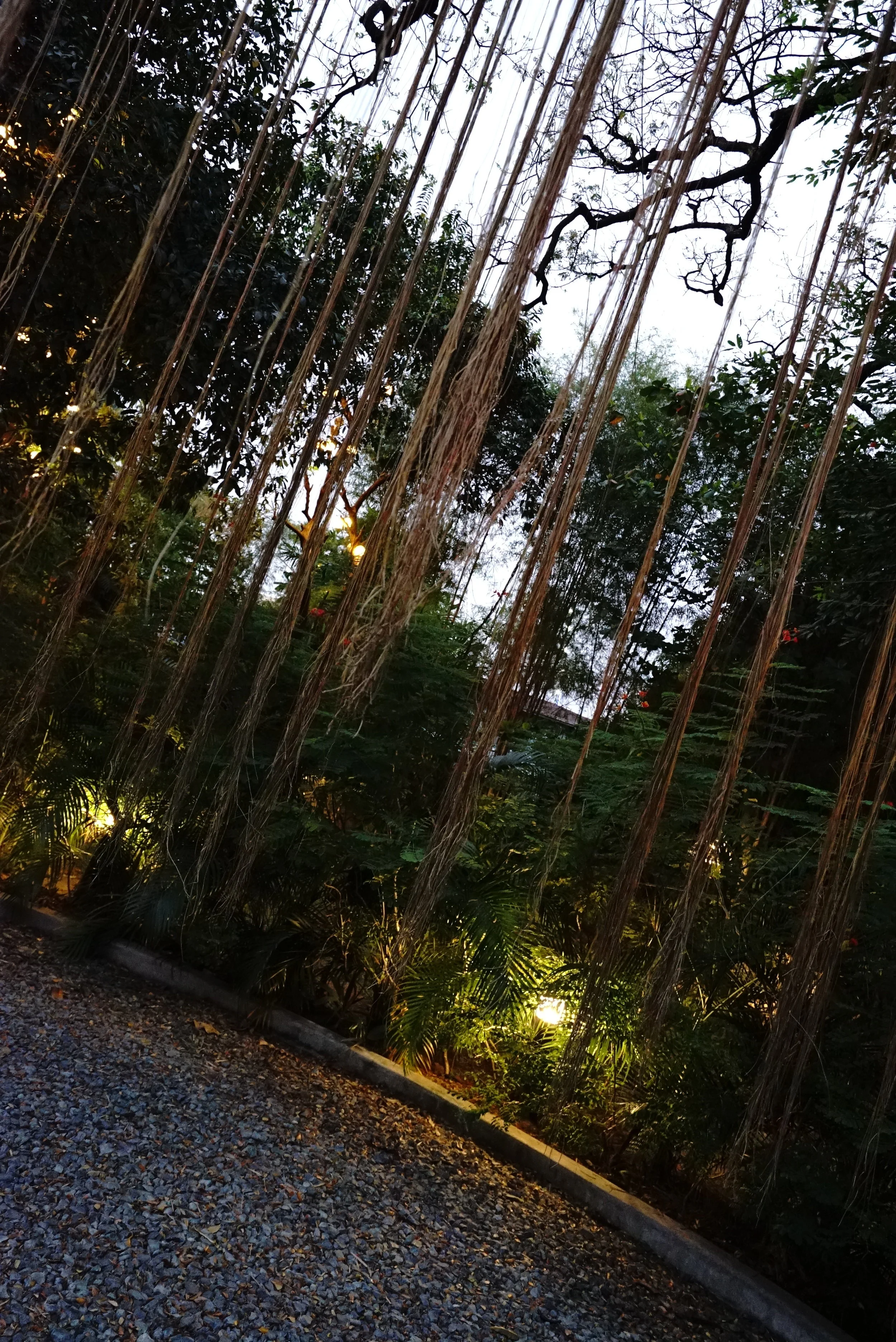 DSC08162.JPG