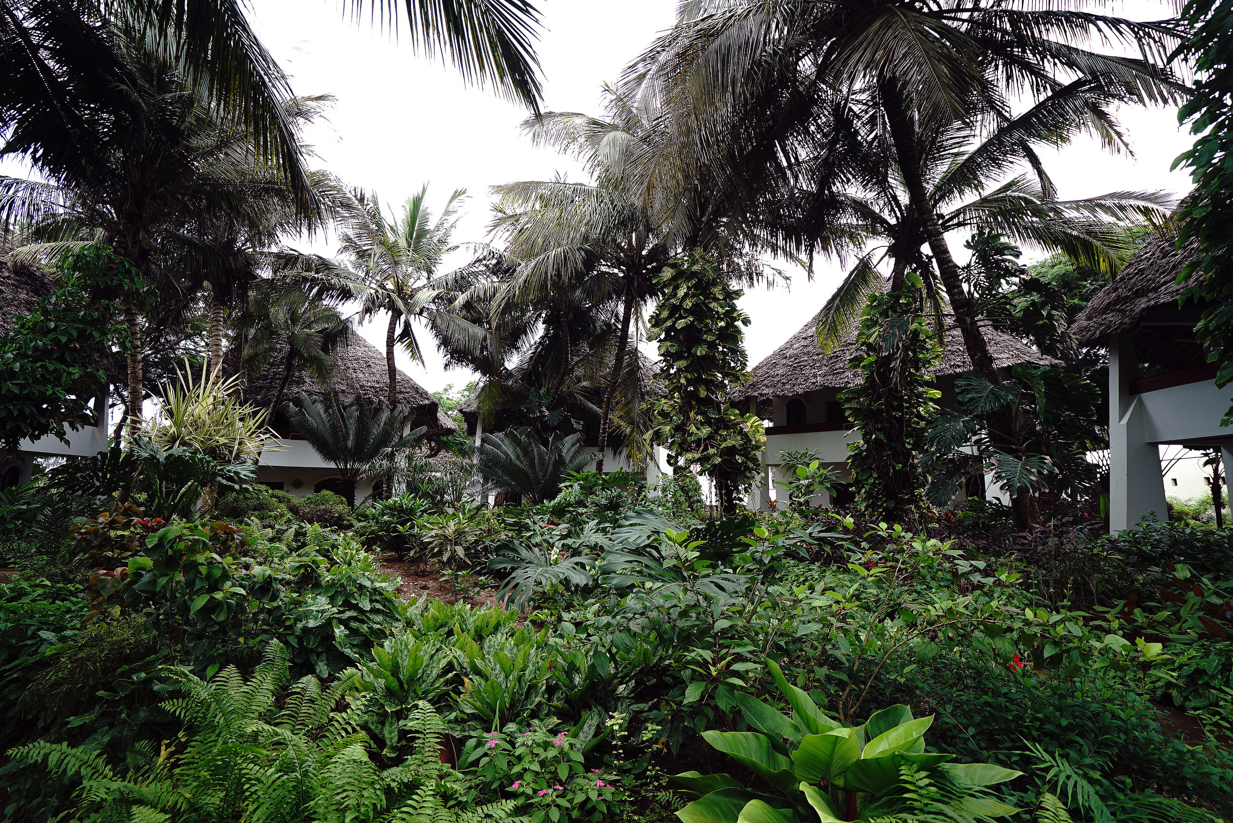 Essque Zalu Zanzibar Garden Villas.jpg