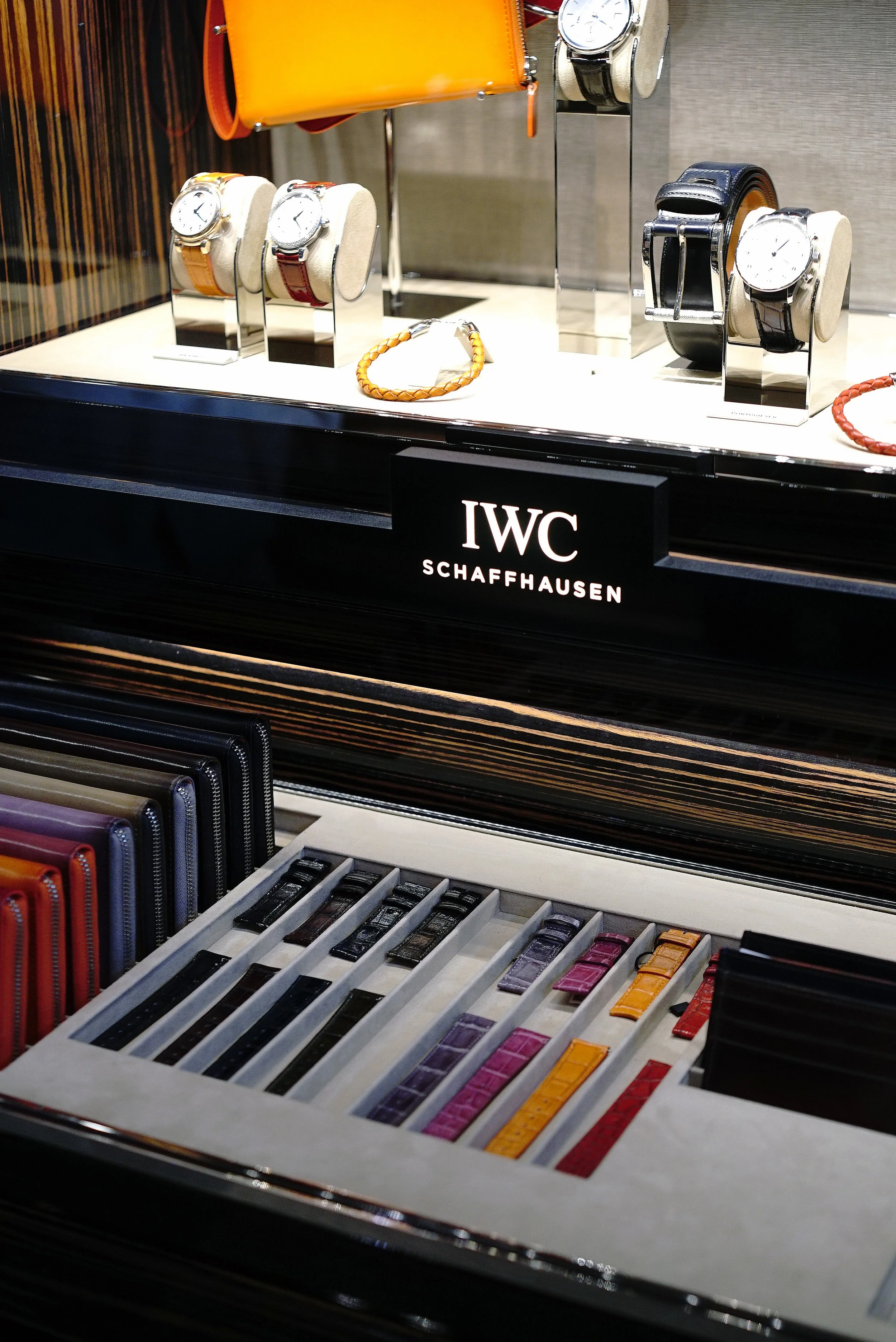 IWC 5.jpg