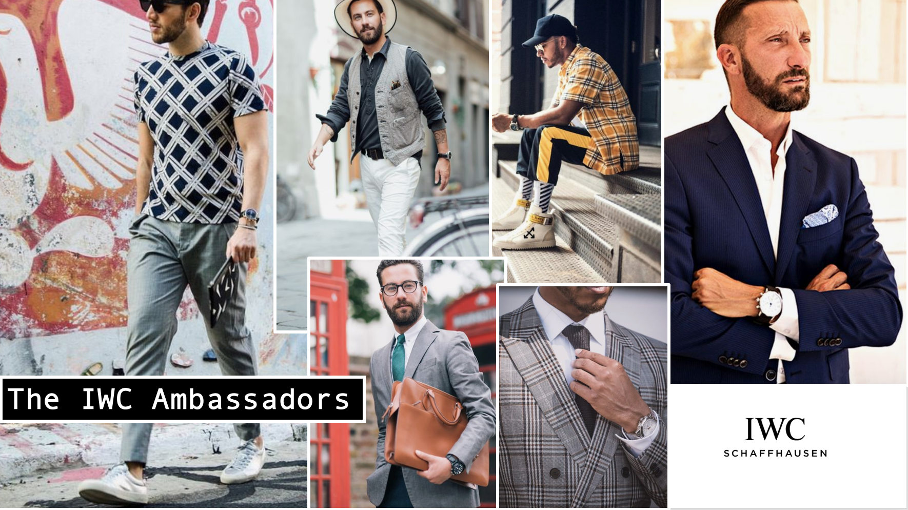 The IWC Ambassadors.png