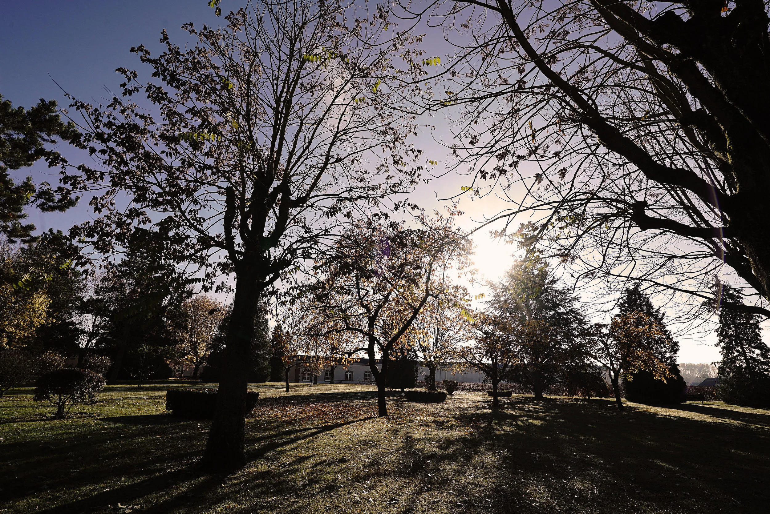 Laurent Perrier Gardens L.jpg