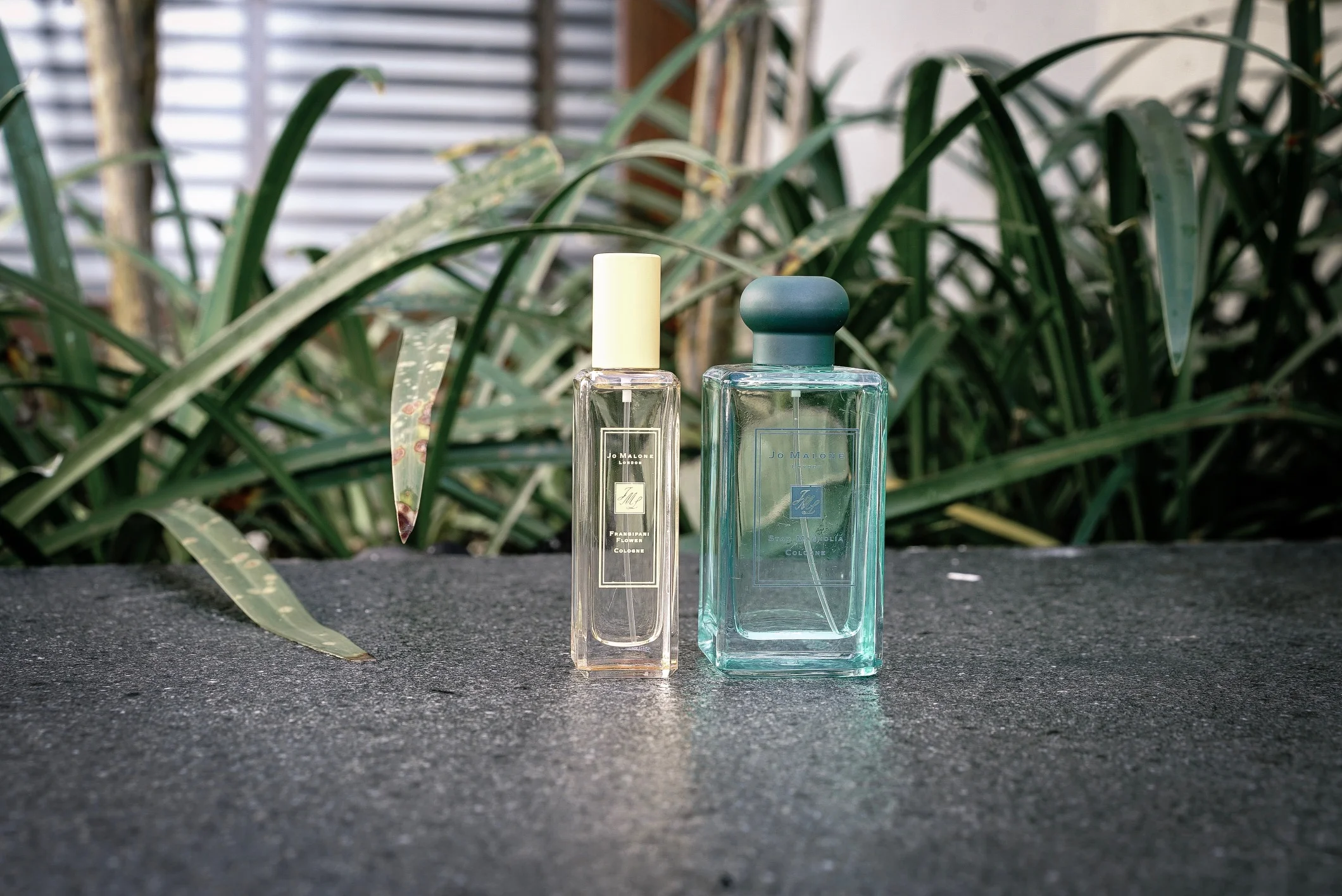 Jo Malone London Blossoms: Bloomin’ Marvellous