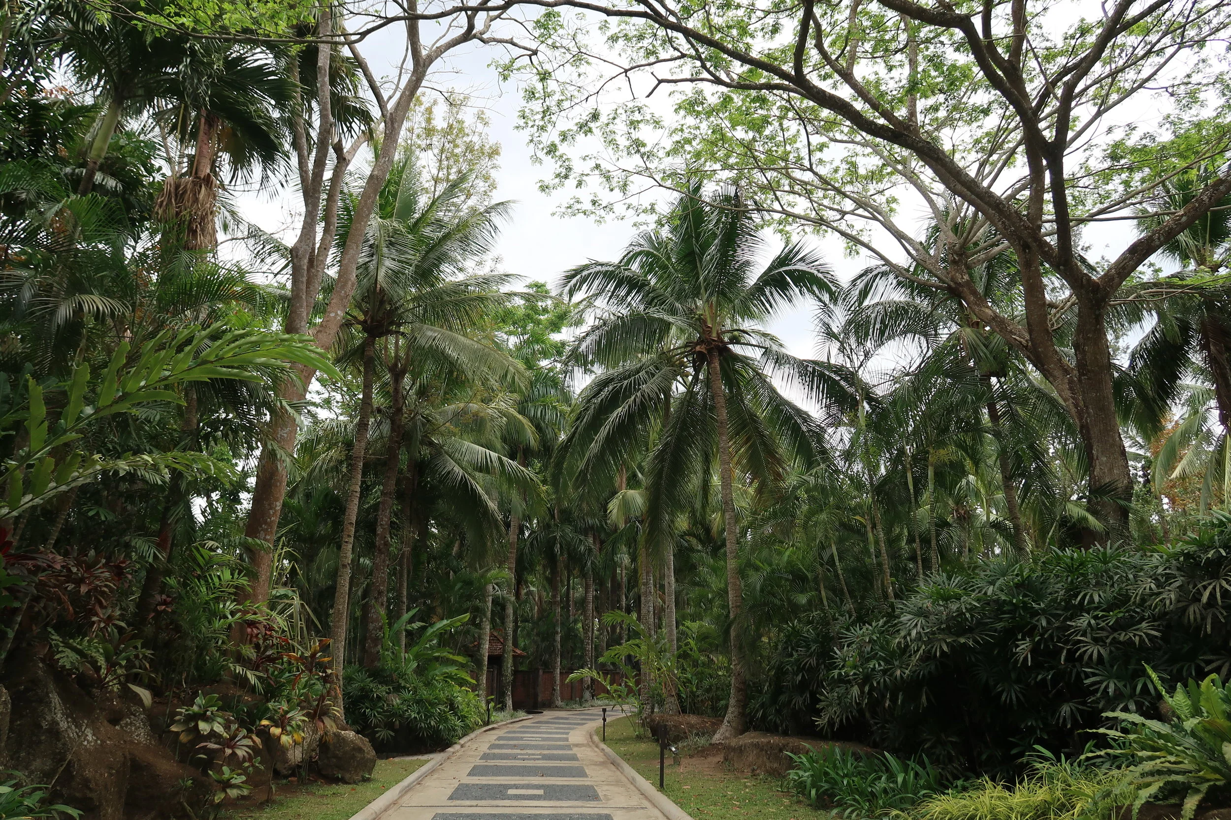 The Farm at San Benito: The Ultimate Wellness Break