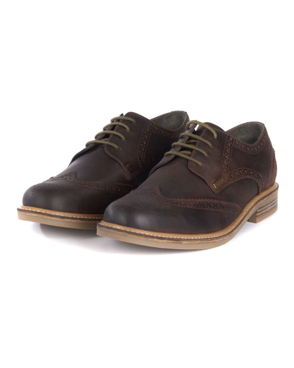 Barbour shoes