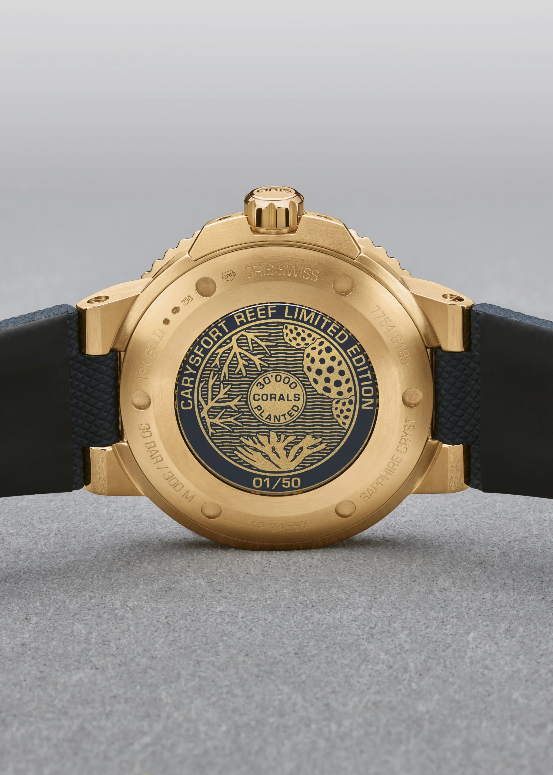 01 798 7754 6185-Set - Oris Carysfort Reef Limited Edition_HighRes_12005 (1).jpg