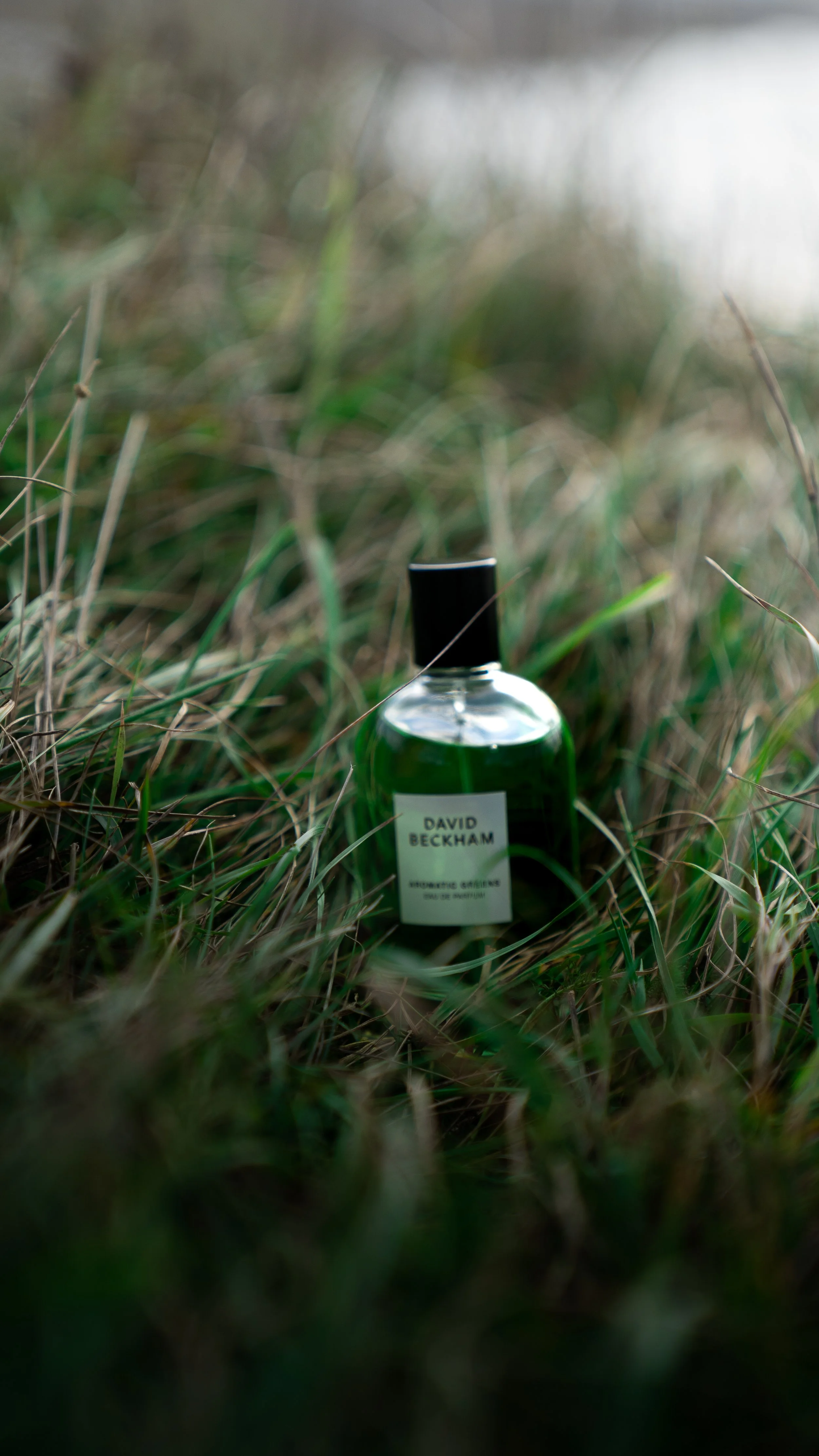 David Beckham Aromatic Greens: A Symphony of Scents Worth Exploring