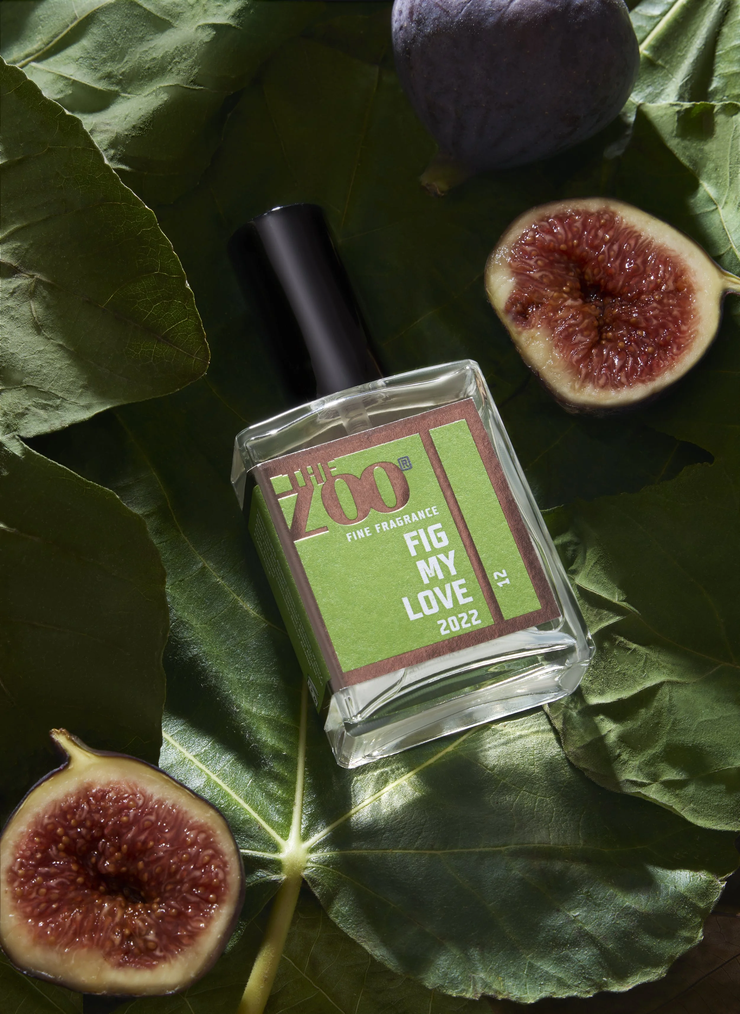 The Zoo - Fig My Love.jpg
