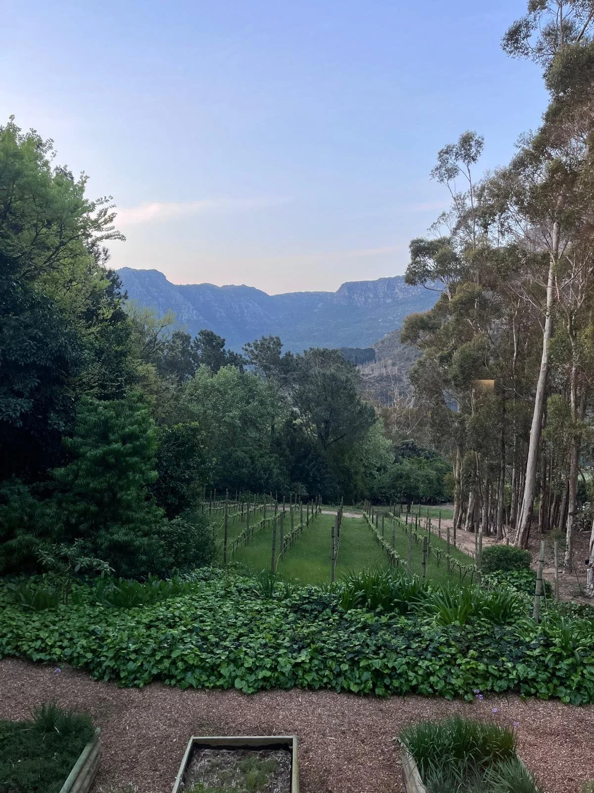 WhatsApp Image 2024-10-08 at 09.56.33.jpeg