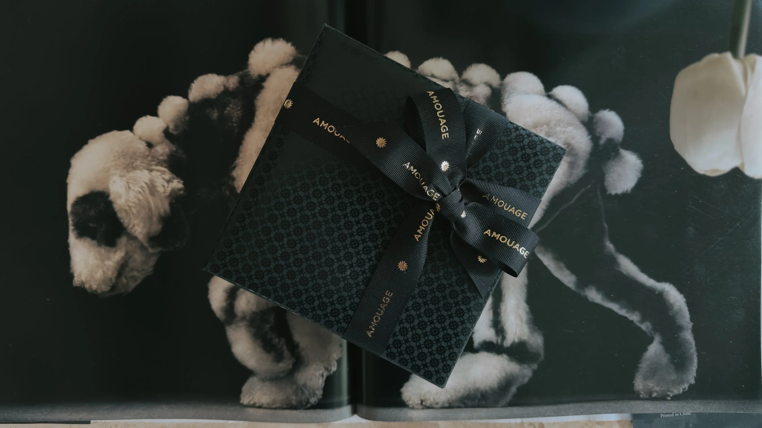 Decision by Amouage: A Masterpiece of Clarity, Power and Elegance