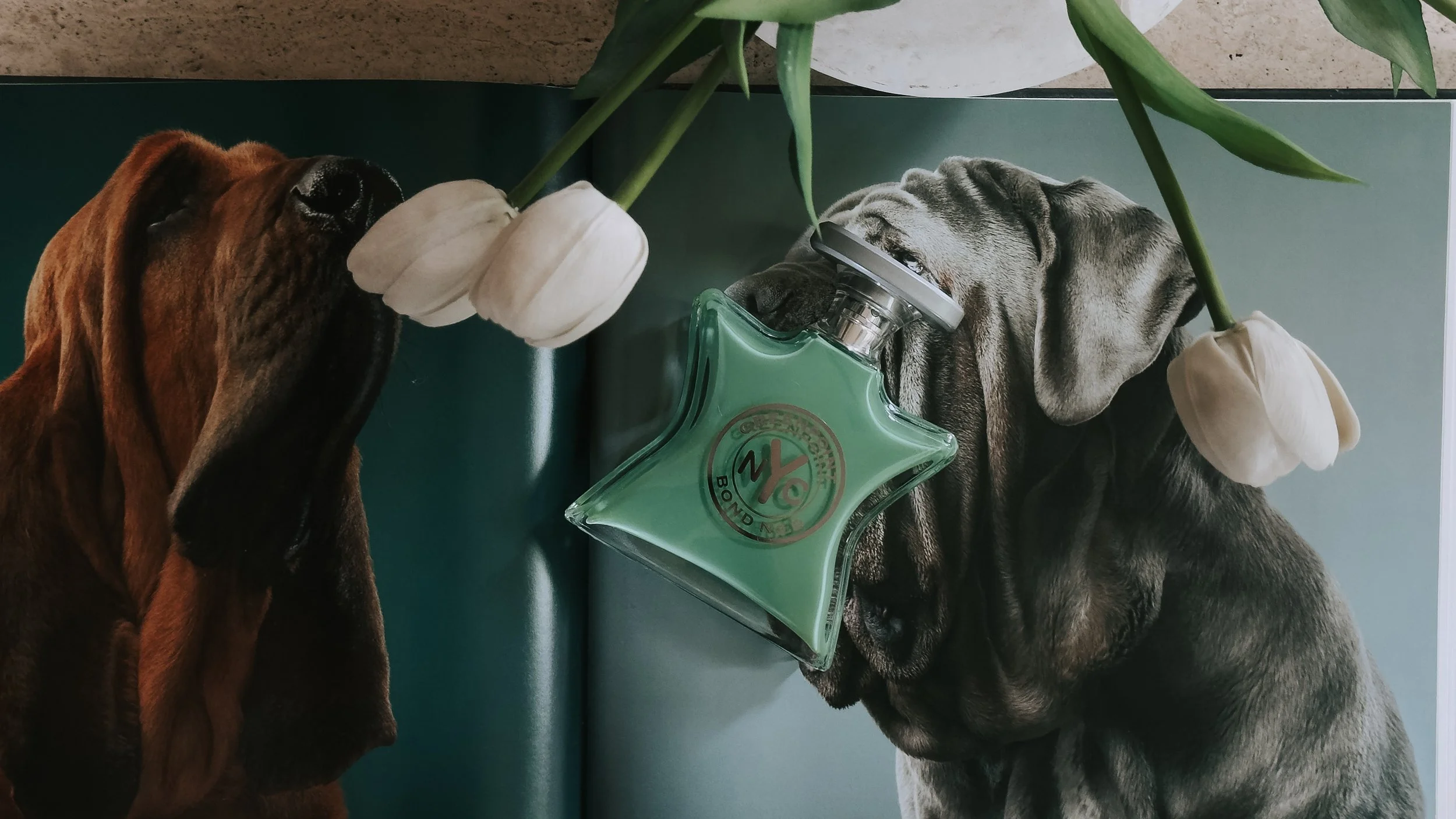 Greenpoint by Bond No. 9: A Breath of Fresh Air, Bottled