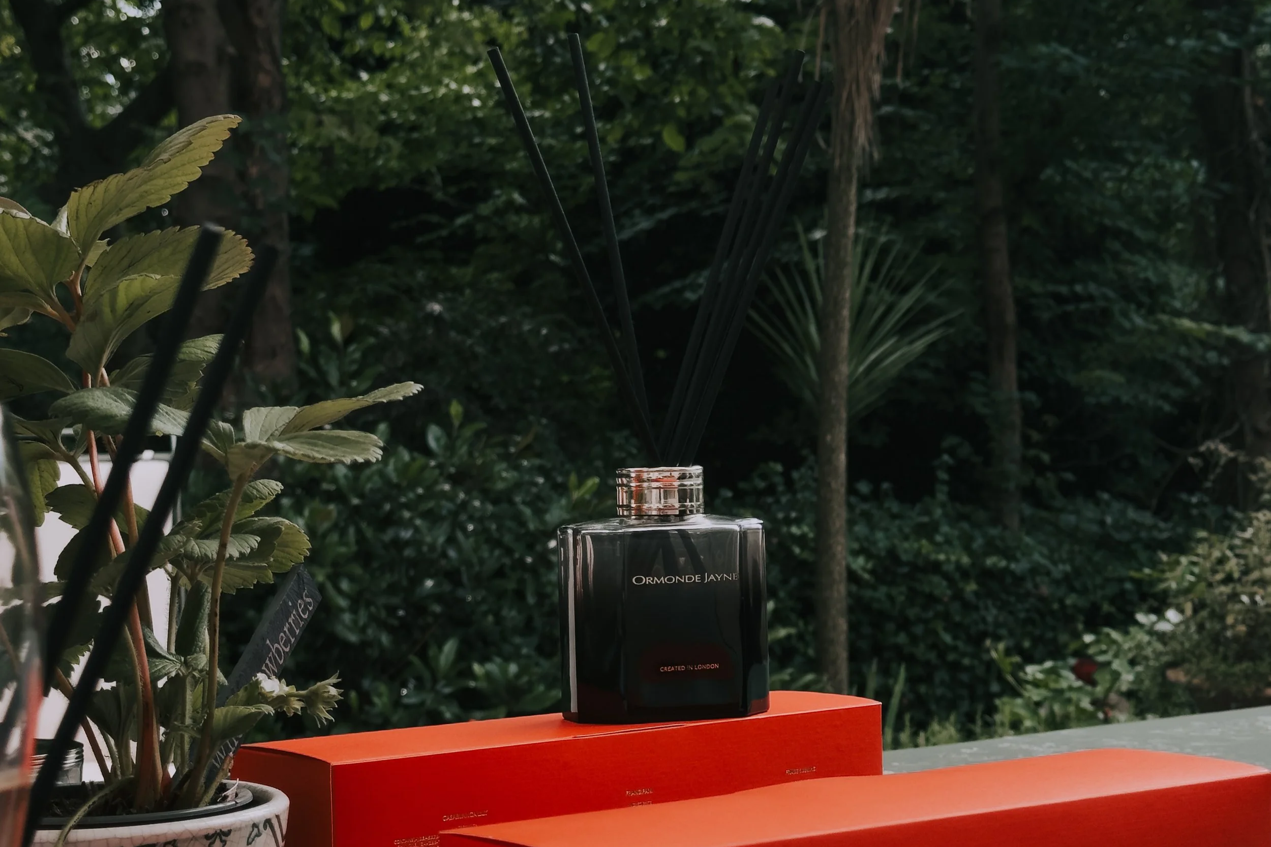 Ormonde Jane Fraise Sublime: A Taste of Endless Summer at Home