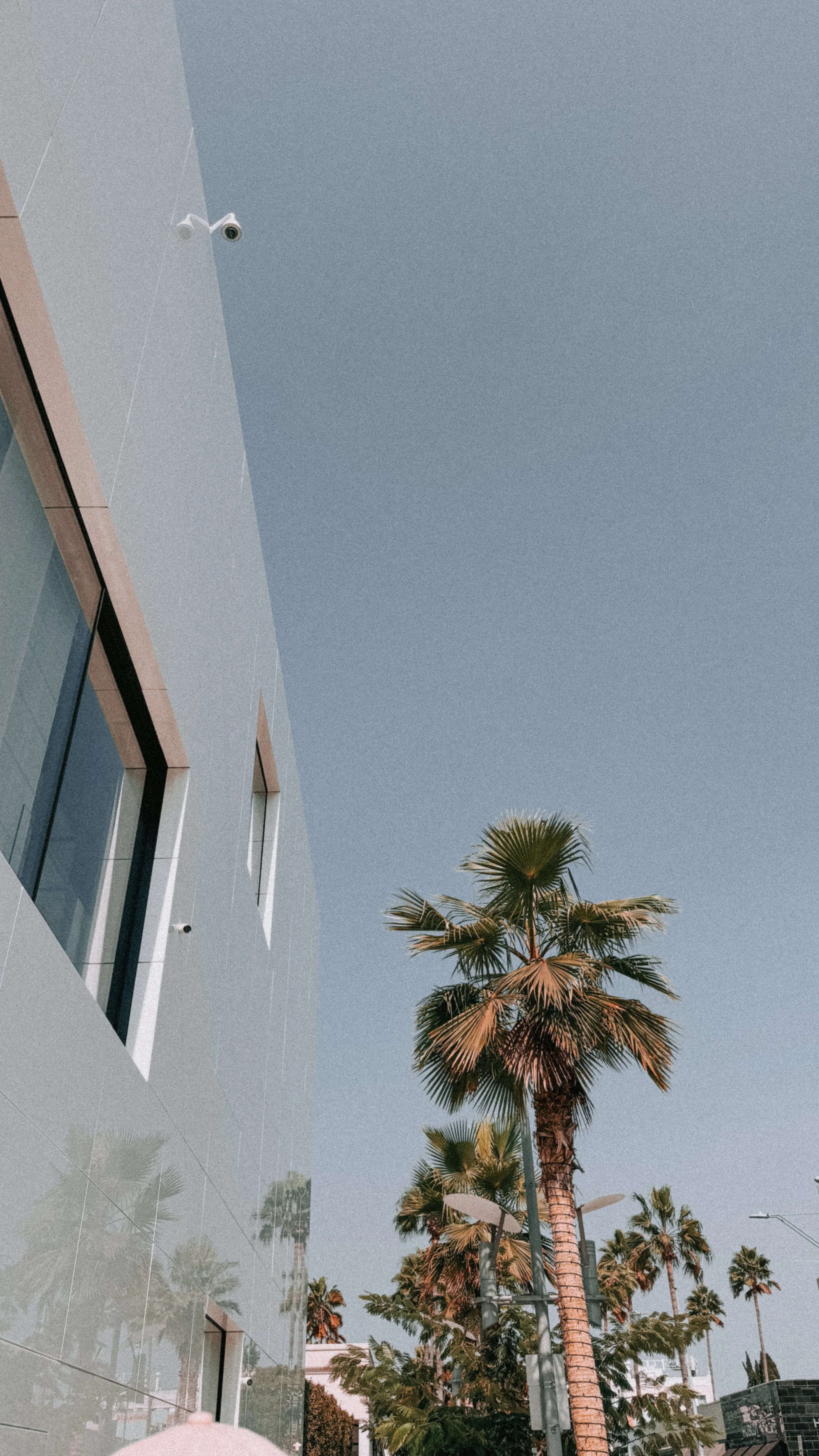 Shopping Around for Travel Insurance | Read Before you Buy