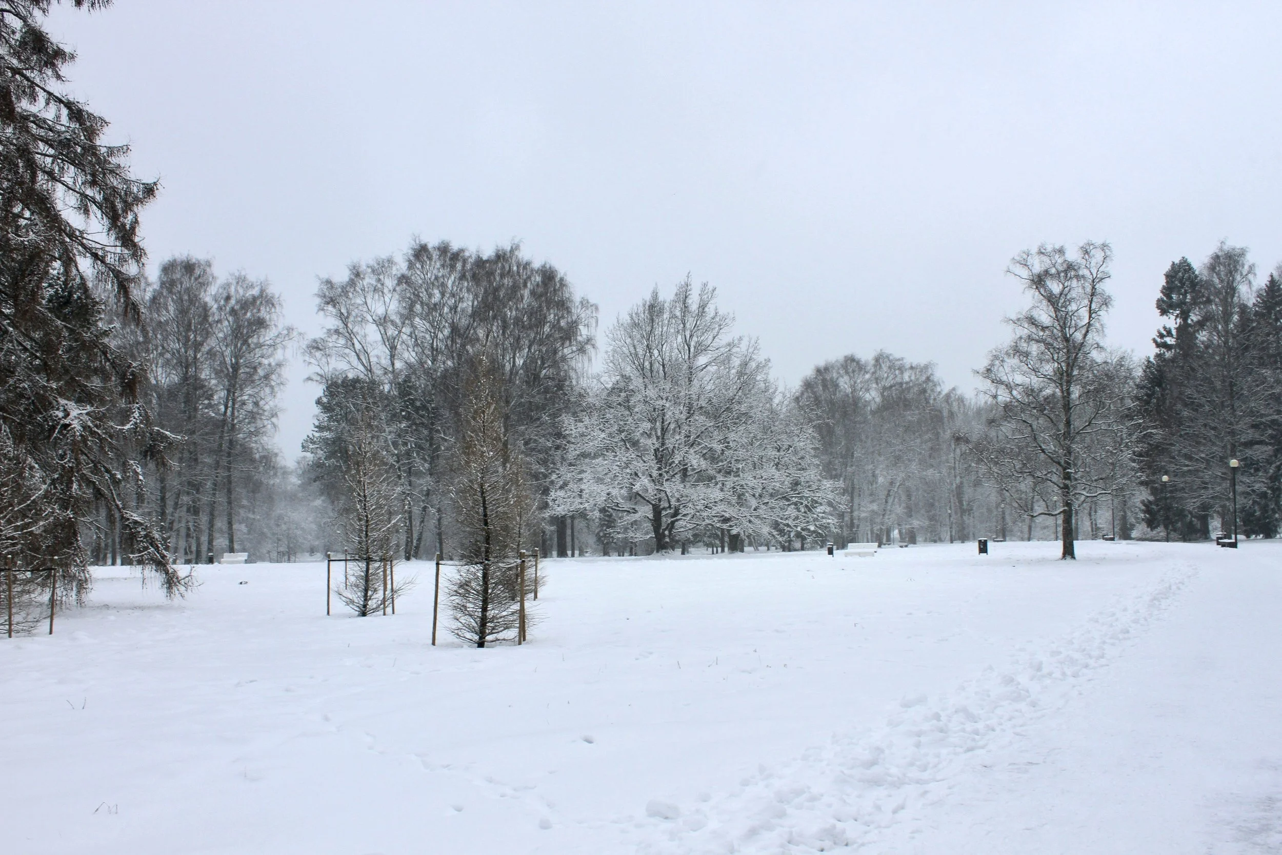 Winter White: And The Memories of Christmas