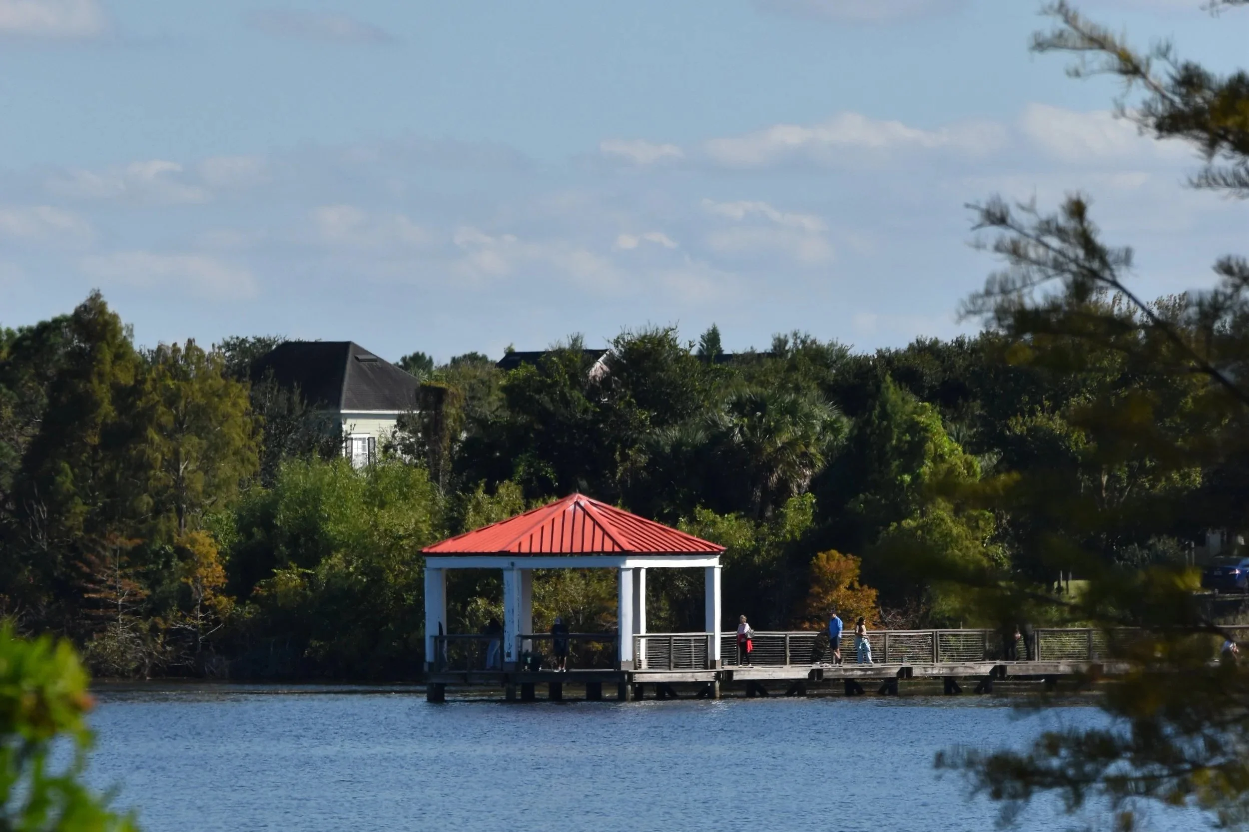 FLORIDA DIARY, LAKES AND THE GREAT AMERICAN SUGAR RUSH