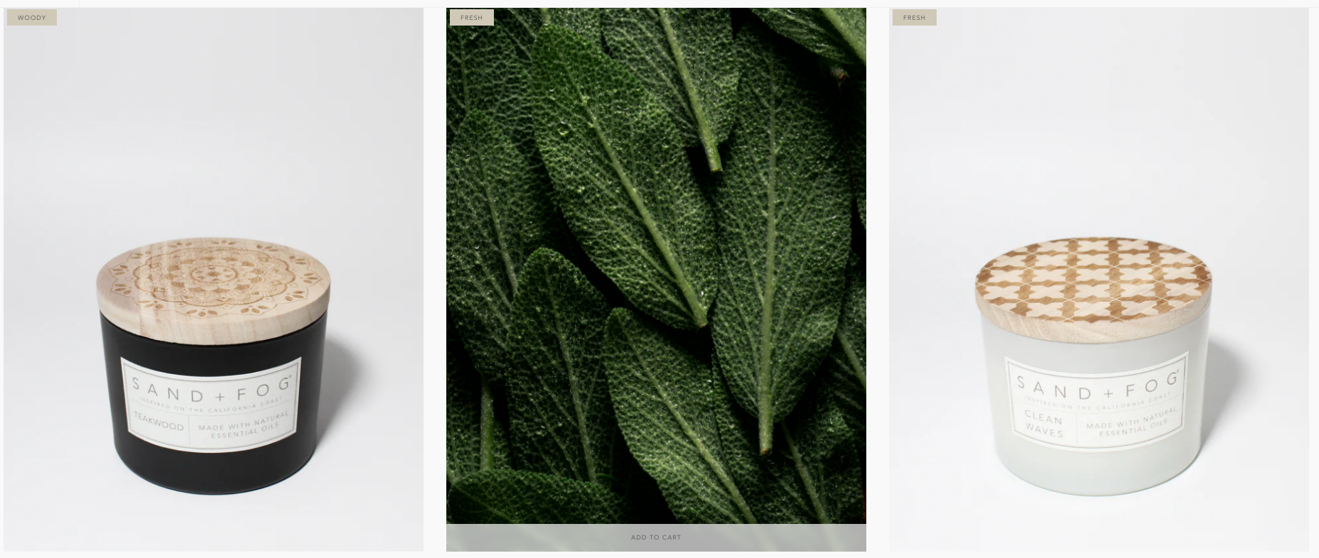 Frazier Fir by Sand + Paws | The Great Home Reset